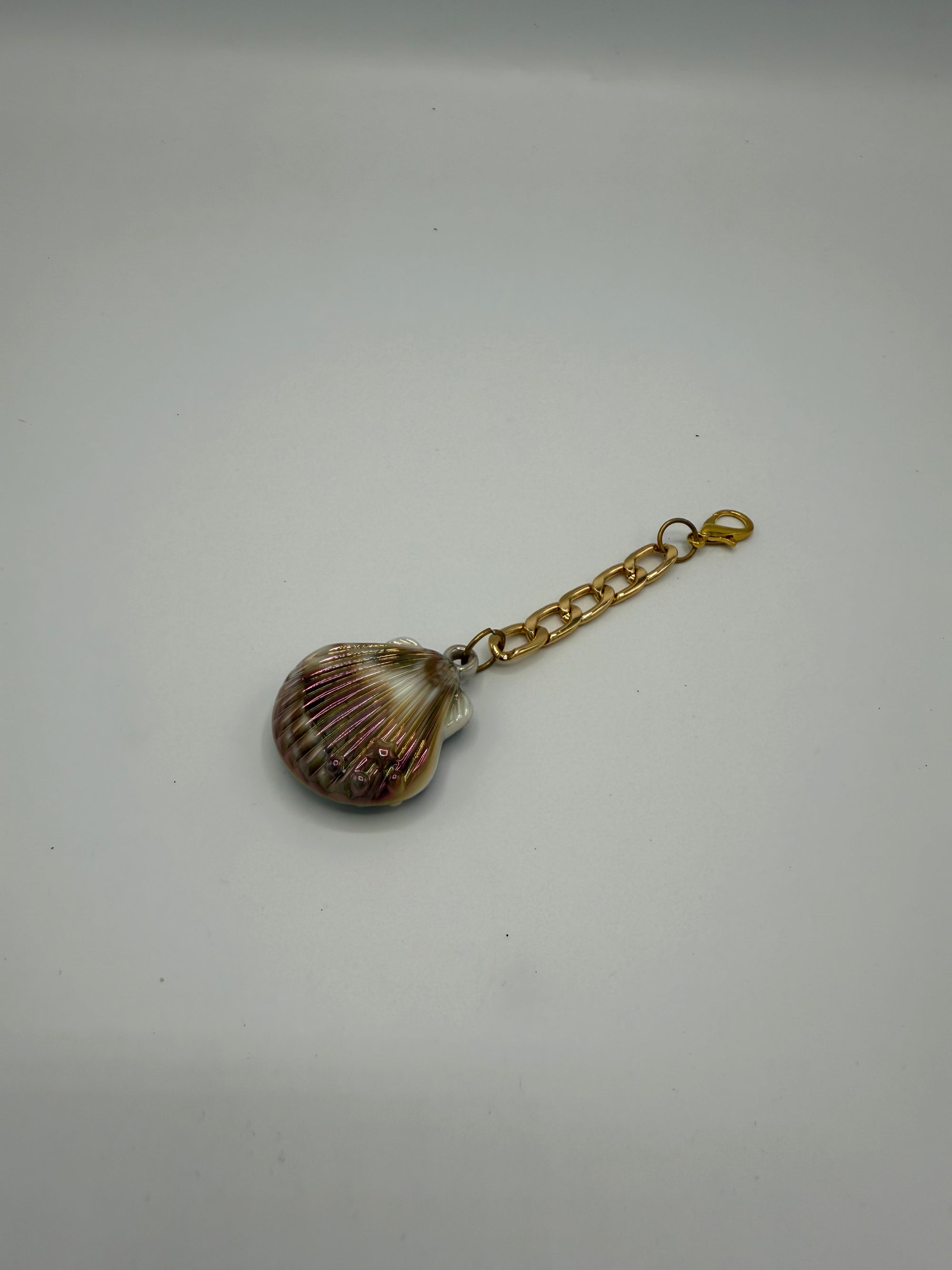 Gloss Clam Shell Charm – Medium